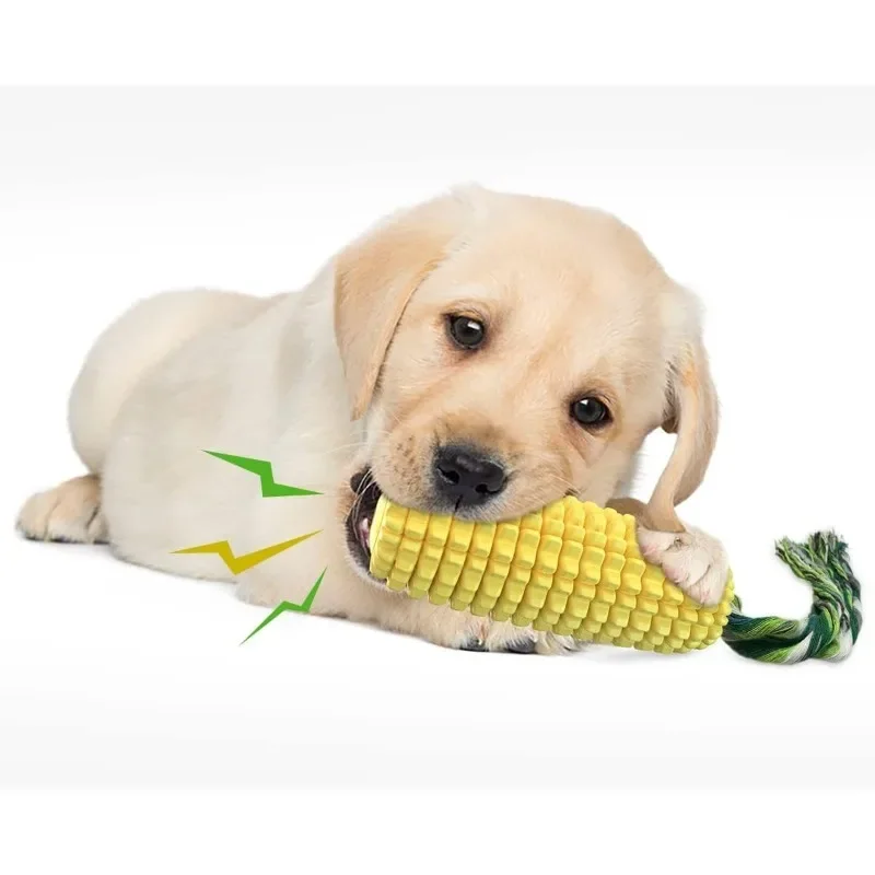 Nouveau ! Pour les chiens qui  - Corn Dog Stick avis et prix
